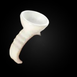 Cup jetable - pose strass dentaire