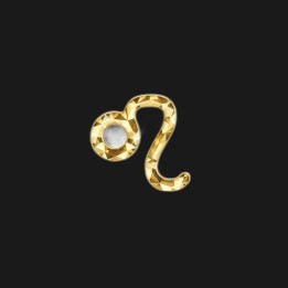 Strass DentairesLion