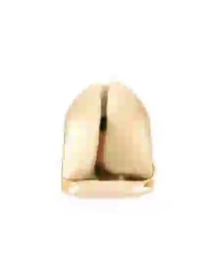 Strass DentairesClip 1 teeth