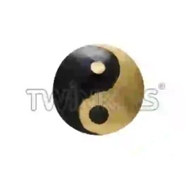 Strass DentairesYin Yang