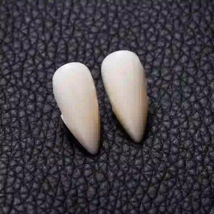 Dracula Teeth - 5