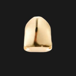 Grillz single tooth gold - faceted cap