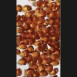 black tea Micro Crystal 1.2mm - 1