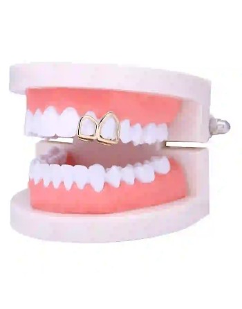 Double arceaux Gold - 2