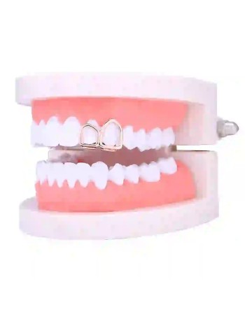 Double arceaux Gold - 4