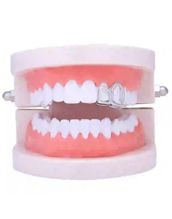 Double arceaux Gold - 5