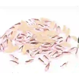 Goutte Lt.pink 2*6mm - 1