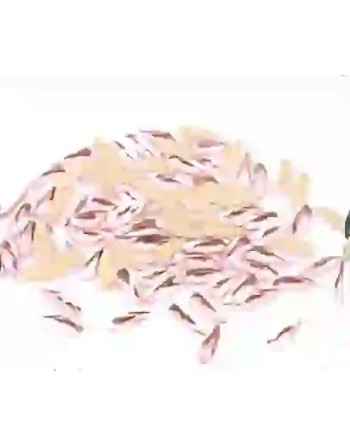 Goutte Lt.pink 2*6mm - 1