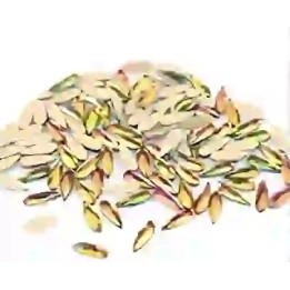 Goutte Rainbow 2*6mm - 1