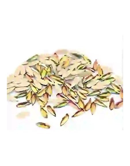 Goutte Rainbow 2*6mm - 1