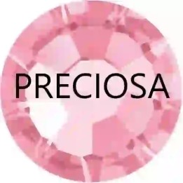 Rose ss6 Preciosa - 1