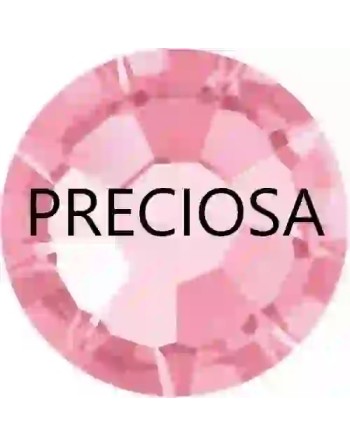 Rose ss6 Preciosa - 1