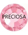 Rose ss6 Preciosa - 1