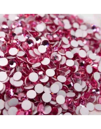 Rose ss6 Preciosa - 2