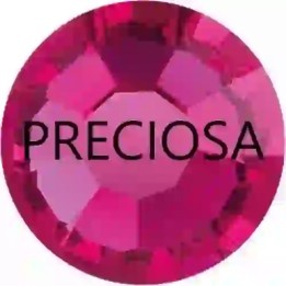 Fuchsia ss6 Preciosa - 1