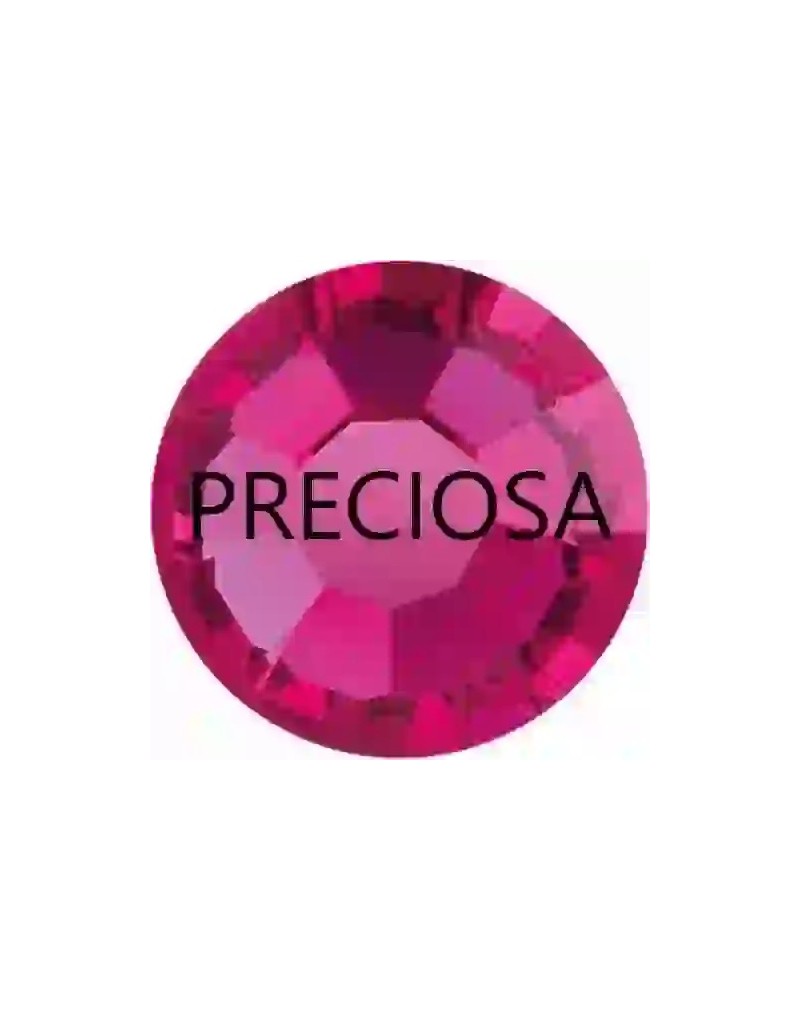 Fuchsia ss6 Preciosa - 1