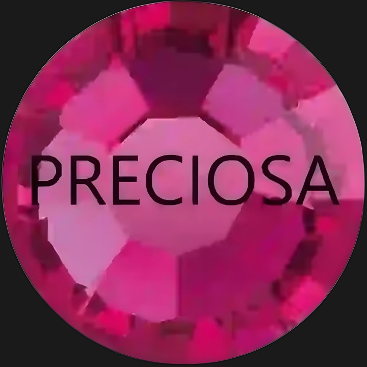 Fuchsia ss6 Preciosa - 1