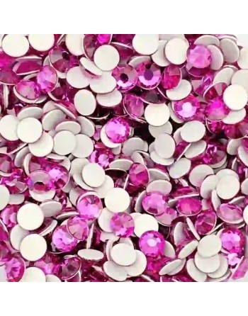 Fuchsia ss6 Preciosa - 2