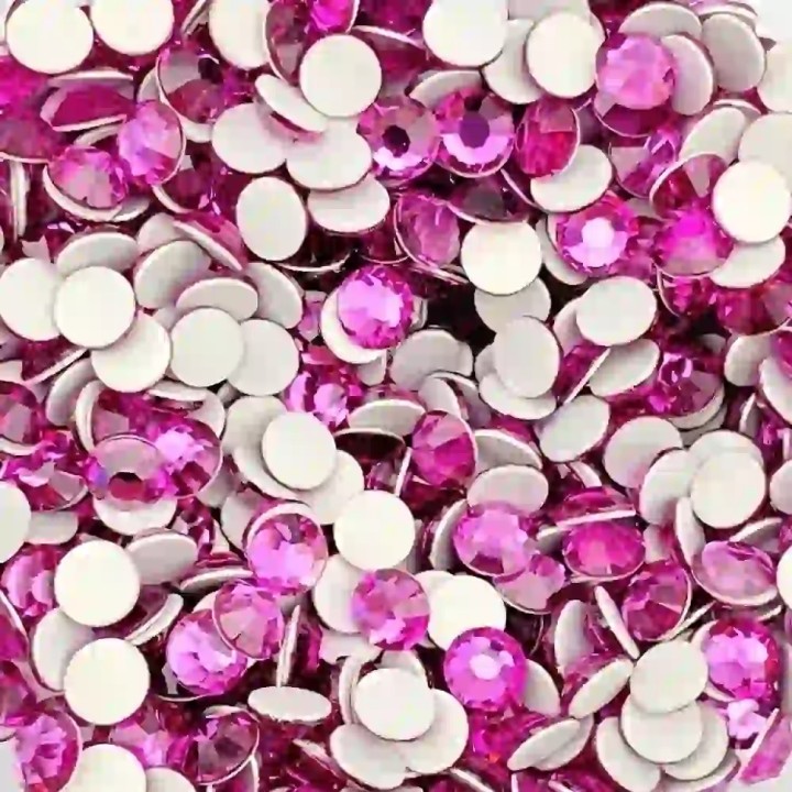 Fuchsia ss6 Preciosa - 2