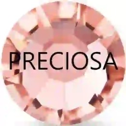 Preciosa Rose Peach - 1