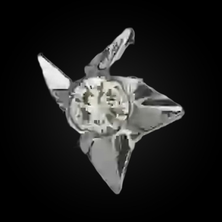 Strass DentairesEtoile or blanc w Diamant