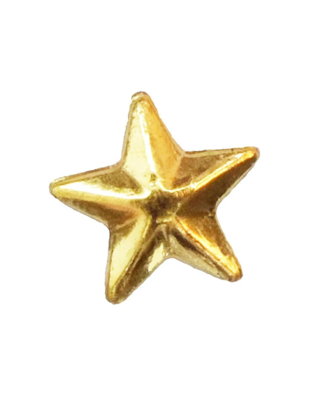 Grote Ster Tandsierade Goud Premium - Professioneel