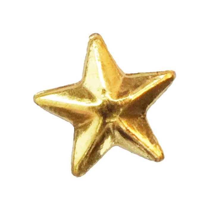 Premium Gold Large Star Dental Jewelry - Pro Application