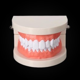 Dentier d'essai - entraînement pose strass dentaire