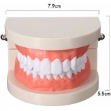Dentier d'essai | Strass Dentaires