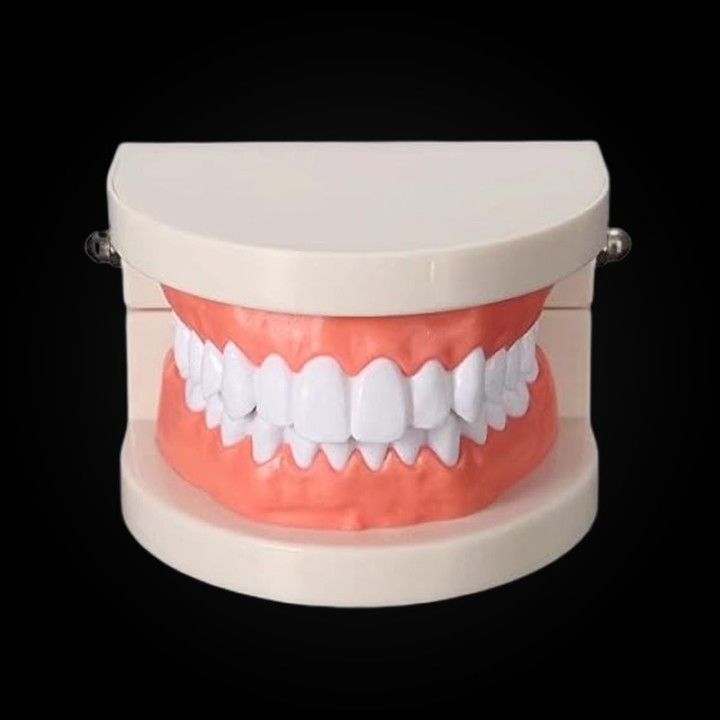 Practice denture - tooth gem application training