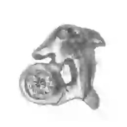 Strass DentairesDauphin w Diamant or blanc