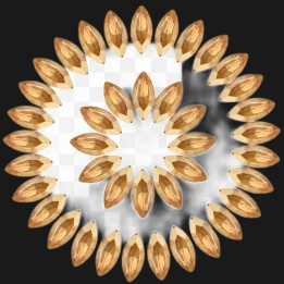 Dental Strass Schmetterling Crystal Pro - Premium Qualität