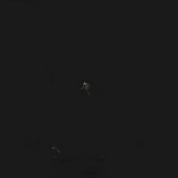 Strass Dentaires Garnet | Rouge Grenat Intense | Preciosa® Original