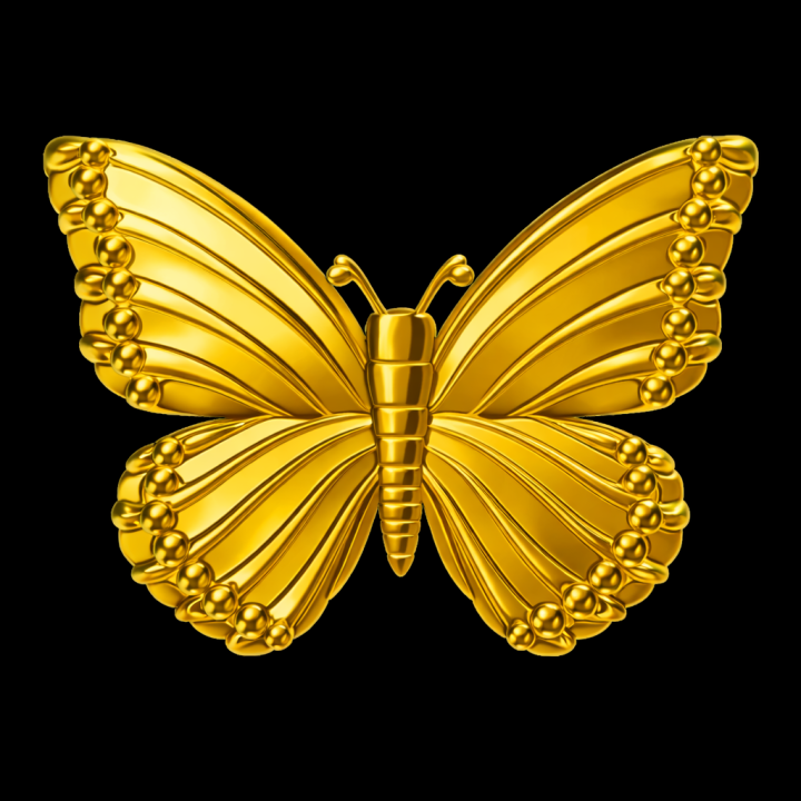 Papillon L Bijou Dentaire Or Jaune 18-24K | Élégance Dorée pour Votre Sourire