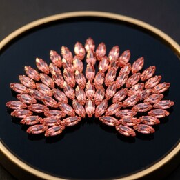 Aile papillon Lt Siam 2x4 mm