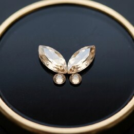 Papillon Champagne Complet