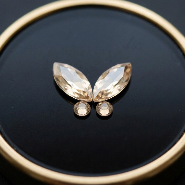 Papillon Champagne Complet