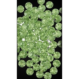 peridot Micro Crystal 1.2mm