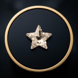 Strass dentaire Etoile Champagne 5*5
