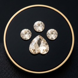Patte de chat Champagne | Strass Dentaires