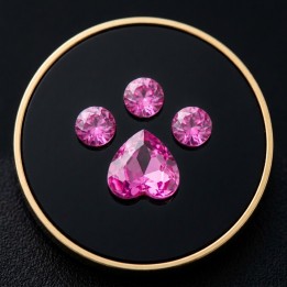 Patte de chat Fushia