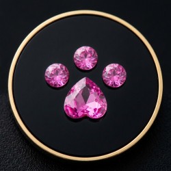 Strass dentaire Patte de chat Fushia