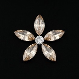 Rosette Champagne - 6-stone tooth gem design | Strass Dentaires