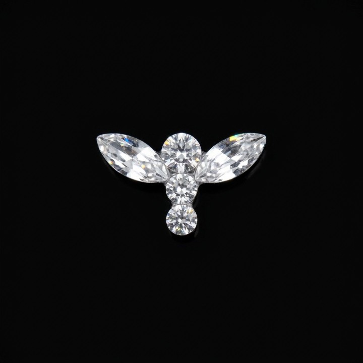 Dragonfly - 5-stone tooth gem design | Strass Dentaires