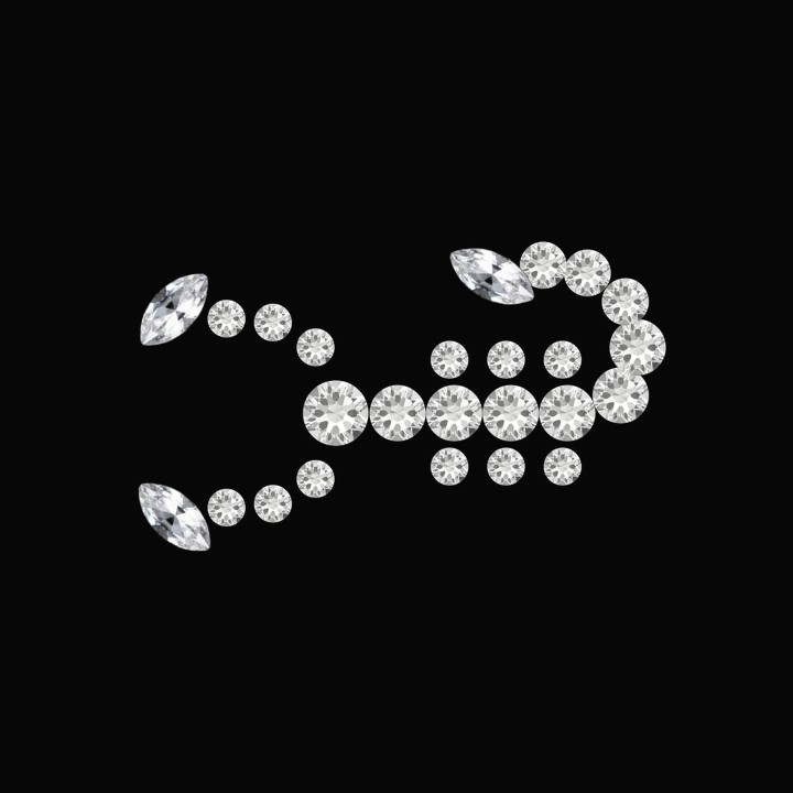 Scorpion - 25-stone tooth gem design | Strass Dentaires