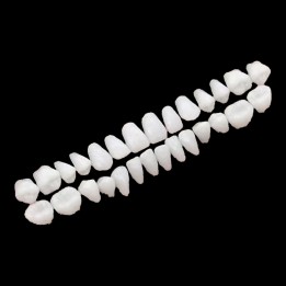 Planche de 28 dents en résine - démonstration pose strass dentaire