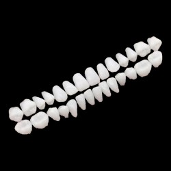 Planche de 28 dents - démonstration pose strass dentaire