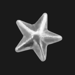 Tooth jewelry Large star white gold