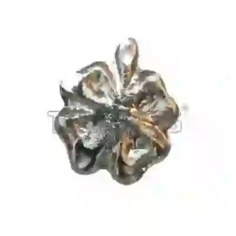 Strass DentairesClover