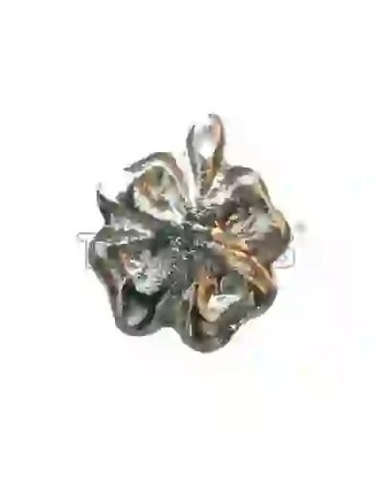 Strass DentairesClover